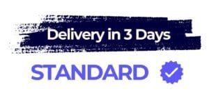 Standard CV/Resume - Get It In 3 Days