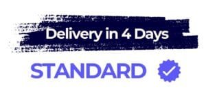 Professional CV/Resume - Get It In 4 Days